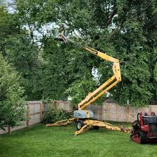 Best Storm Damage Tree Cleanup  in Bolivar, TN